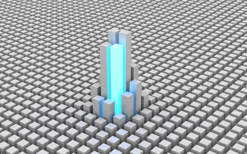 Project Management Services